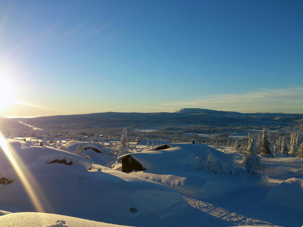 Skei Apartments Svingvoll Quarto foto