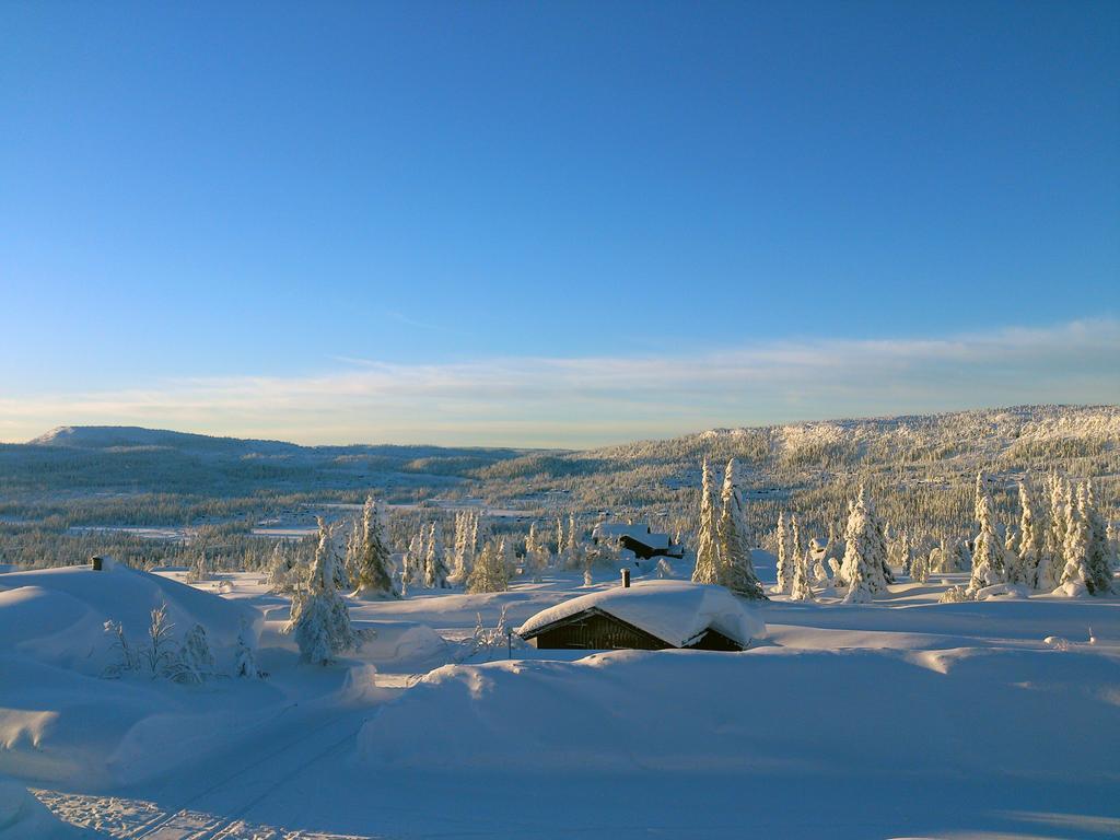 Skei Apartments Svingvoll Quarto foto